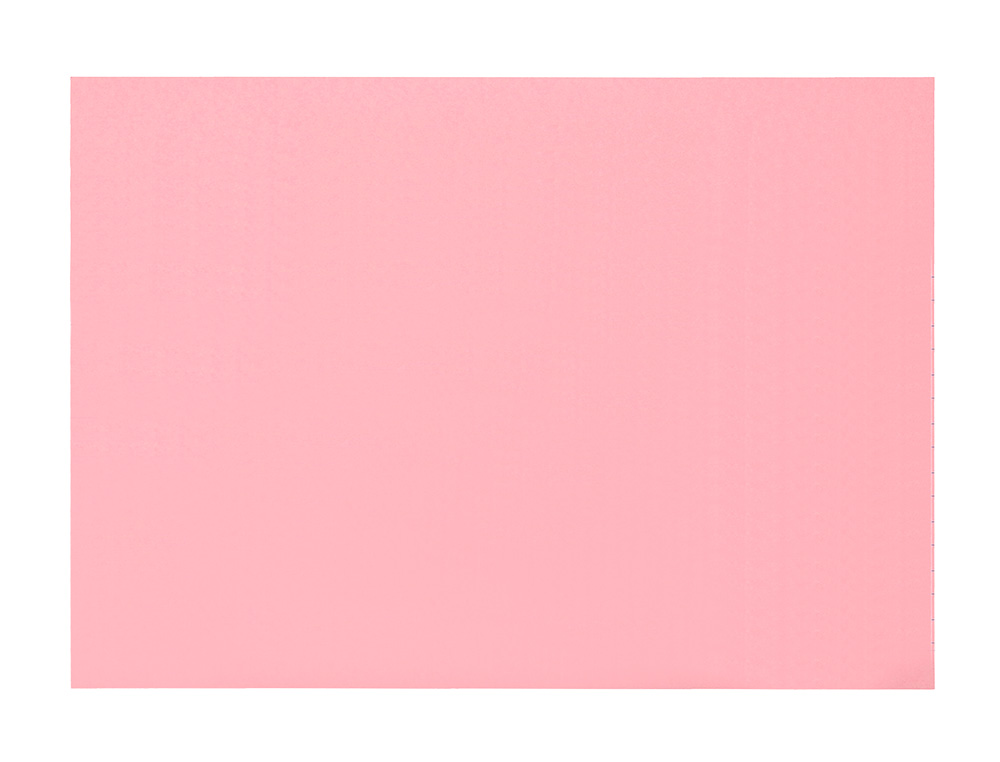 TARJETA LIDERPAPEL PARA ESTUDIAR LISA CARTULINA DE COLORES 170GR 100X150MM PAQUETE DE 200 UNIDADES