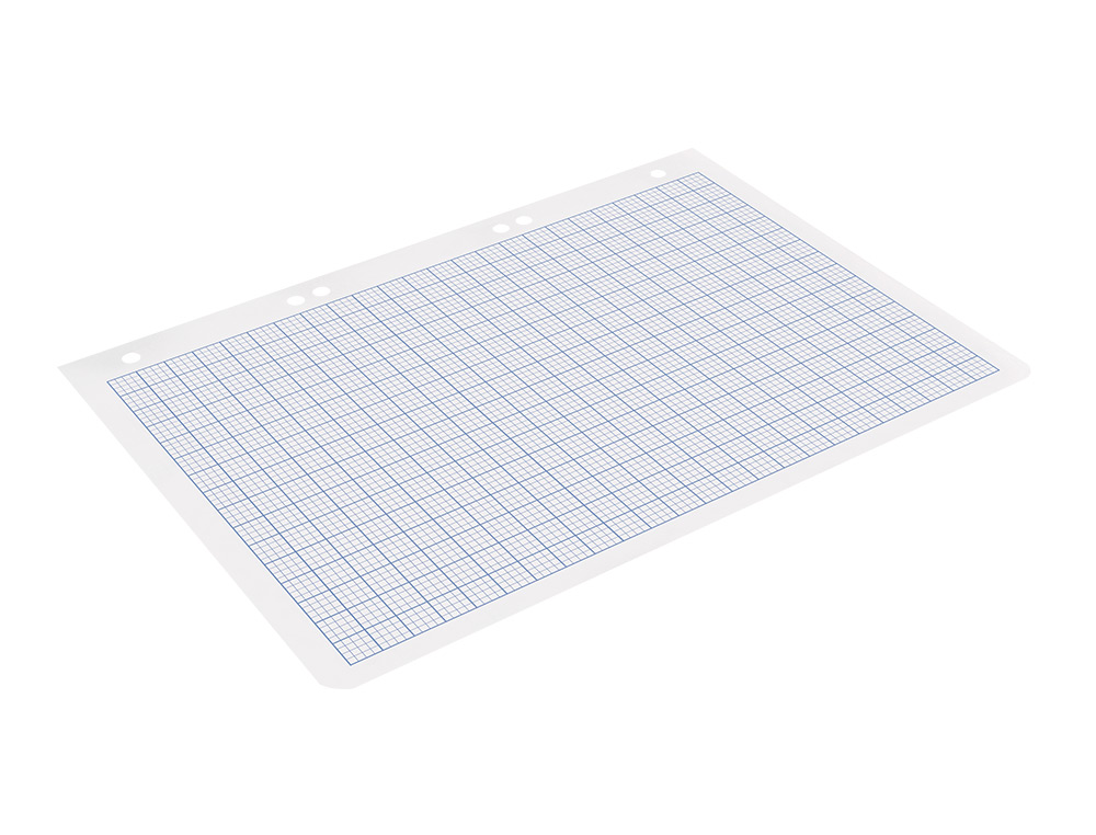RECAMBIO LIDERPAPEL DIN A5 100 HOJAS 75GR RAYADO N 46 6 TALADROS