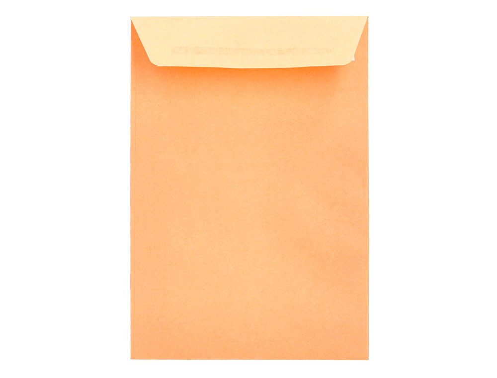 SOBRE LIDERPAPEL BOLSA N.0 CEL CAA SALARIOS 100X145MM TIRA SILICONA CAJA DE 1000 UNIDADES