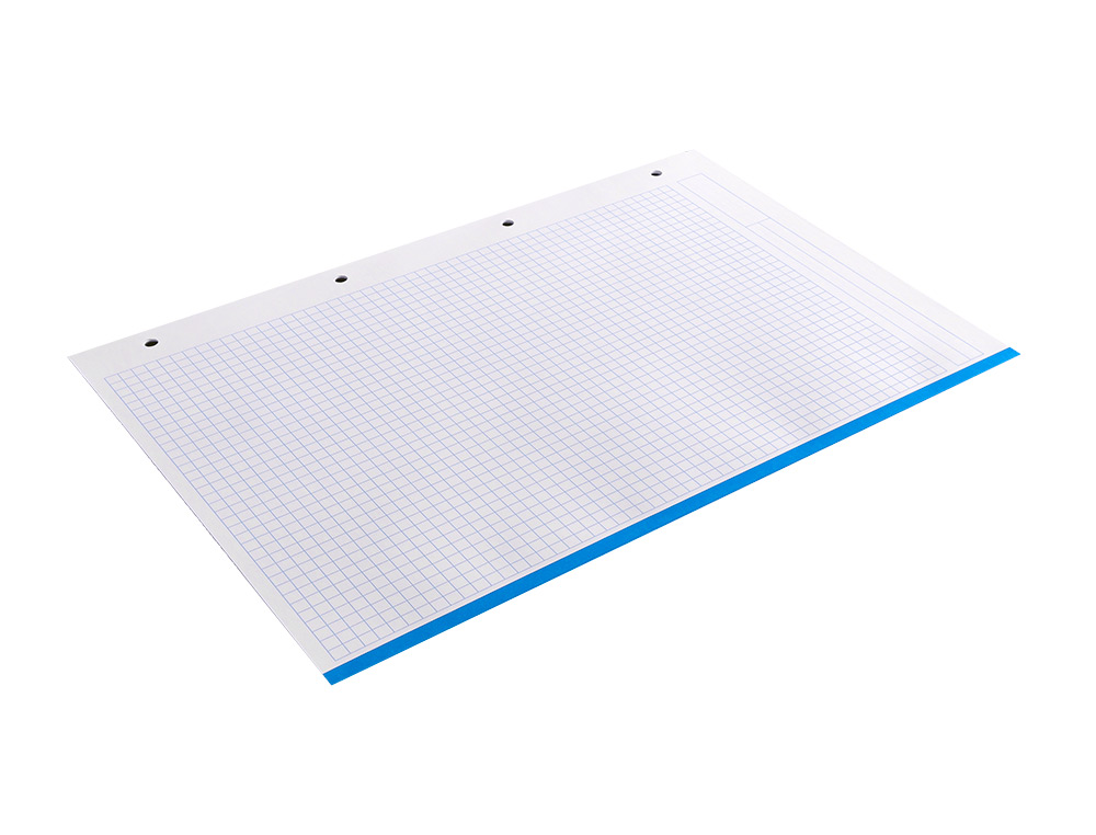 RECAMBIO LIDERPAPEL A4 120 HOJAS 80GR CUADRO 5MM SIN MA RGEN 4 TALADROS BANDAS DE 5 COLORES