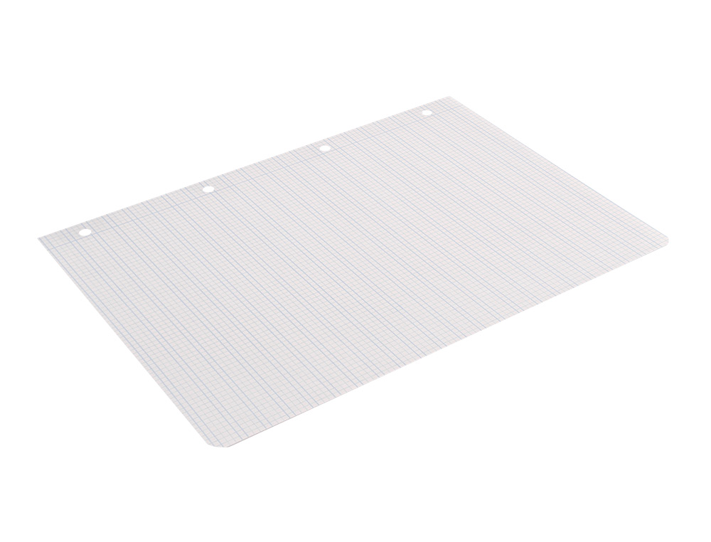 RECAMBIO LIDERPAPEL A4 PAUTAGUIA 100 HOJAS 75GR CUADRICULADO PAUTADO 3MM CON MARGEN 4 TALADROS