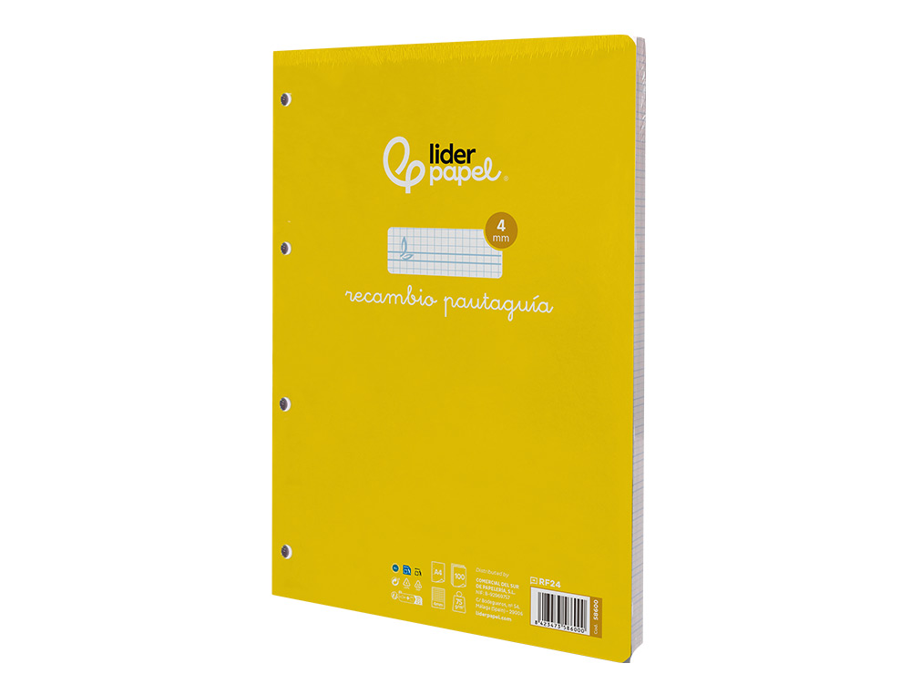 RECAMBIO LIDERPAPEL A4 PAUTAGUIA 100 HOJAS 75GR CUADRICULADO PAUTADO 4MM CON MARGEN 4 TALADROS